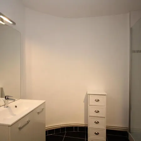 Apartment Mont-dore T3 Duplex Avec Wifi Et Animaux Admis - Fr-1-608-26